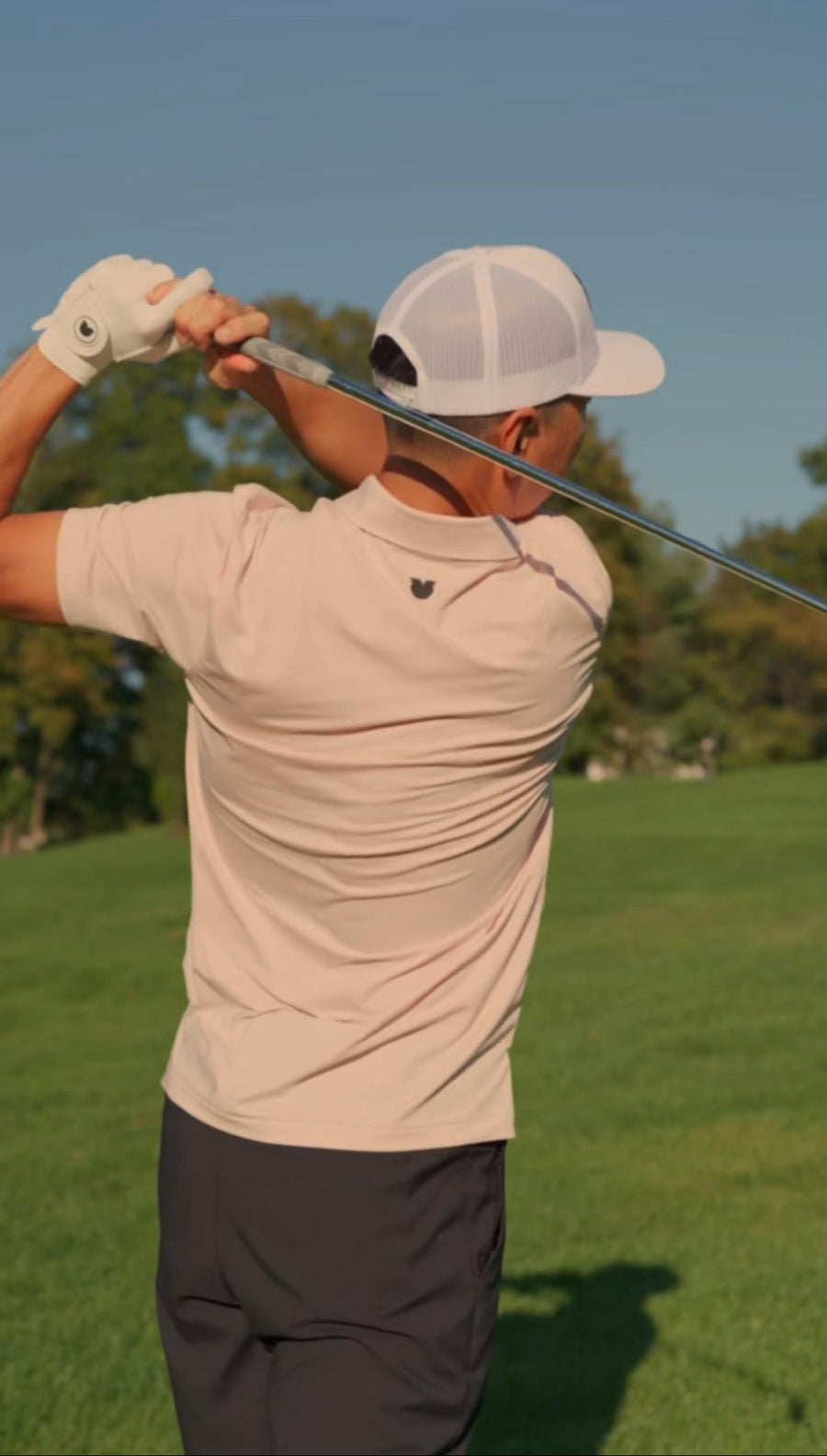 Signature Polo